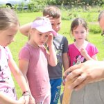 phoca_thumb_m_velky  62 Fotogalerie
